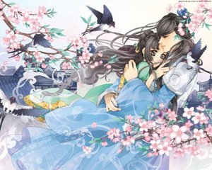 红杏视院永久入口直接进入